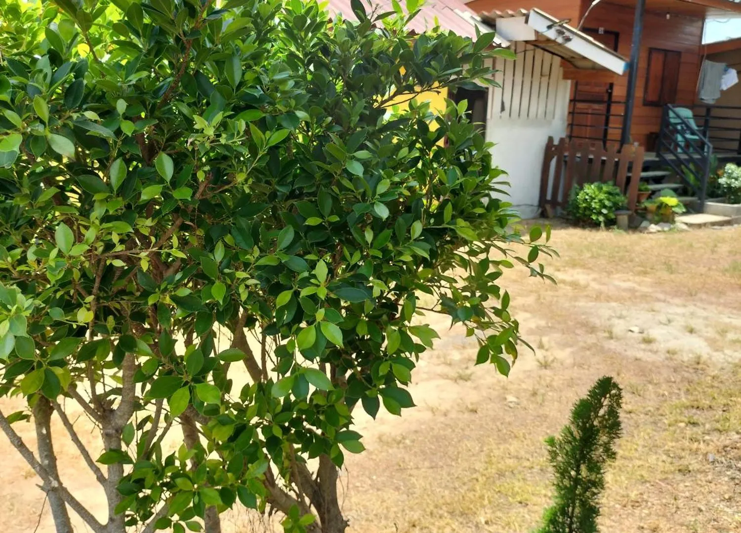 Lanta Rabbit Rooms Ko Lanta Thailand